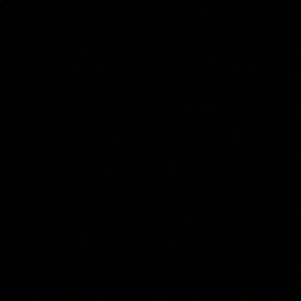 Meet your Posher, Ellie